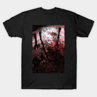 Reflections, Monsalvat Artist's Colony, Eltham T-Shirt